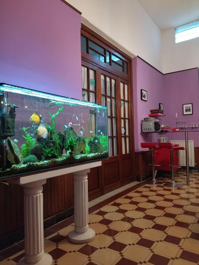 Cane B&B Montevideo Kültér fotó